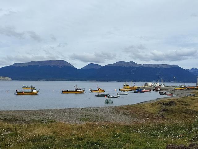 USHUAIA. PUERTO ALMANZA Y ESTANCIA HARBERTON - ARGENTINA INFINITA II/ TORRES DEL PAINE (5)