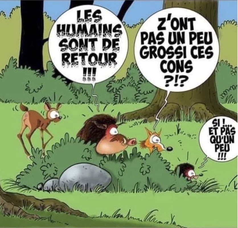 Capture d’écran 2020-05-12 à 08.53.18