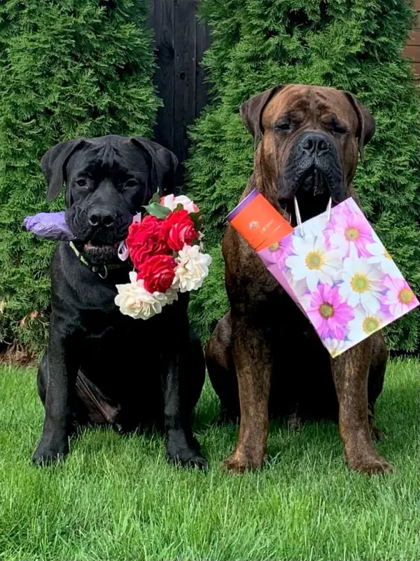 sQFvFBg2MY8wXk5vzyH2fws9EqjD8KSTnTMyboNQXUuBWb1mdxpgZhYYNhmYDDhZEiNi1K8h3gEwwiEvIF-gIJ_4