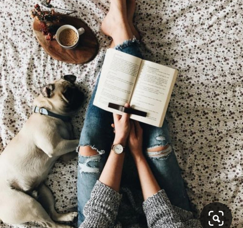 Screenshot_20231015_212159_Pinterest