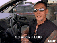 200w-4.gif