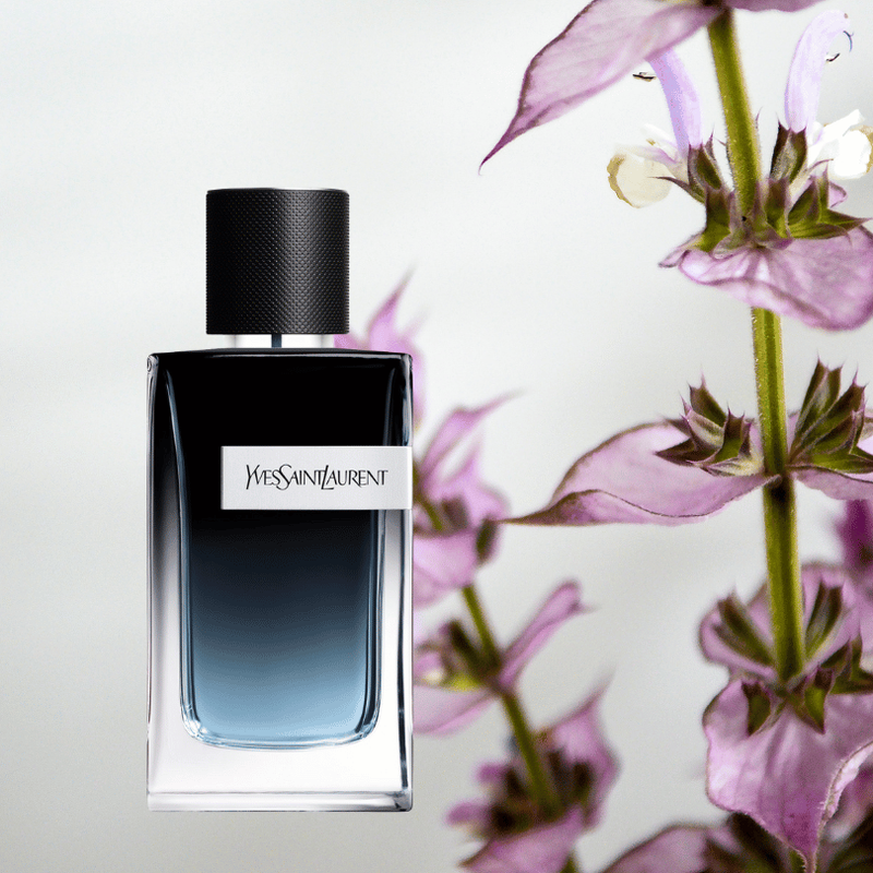 ysl-y-edp-cay-xo-thom.png