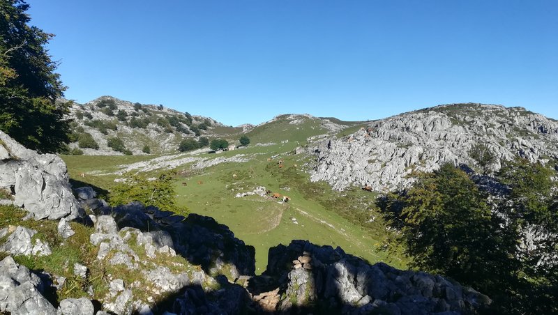 ESCAPADA POR ASTURIAS ORIENTAL - Blogs de España - LAGOS DE COVADONGA-PICO JULTAYU-COVADONGA Miércoles 9 de Septiembre (6)