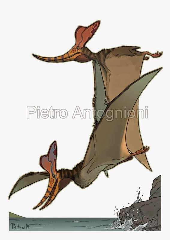 pteranodon