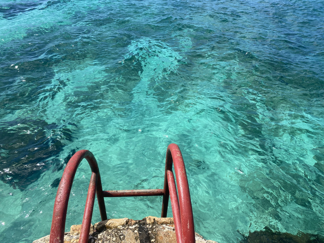 F7FE4719-795B-4602-8C55-6F2DFC1F2461