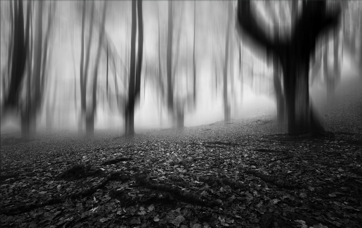 Ente paranormal es captado en bosque embrujado