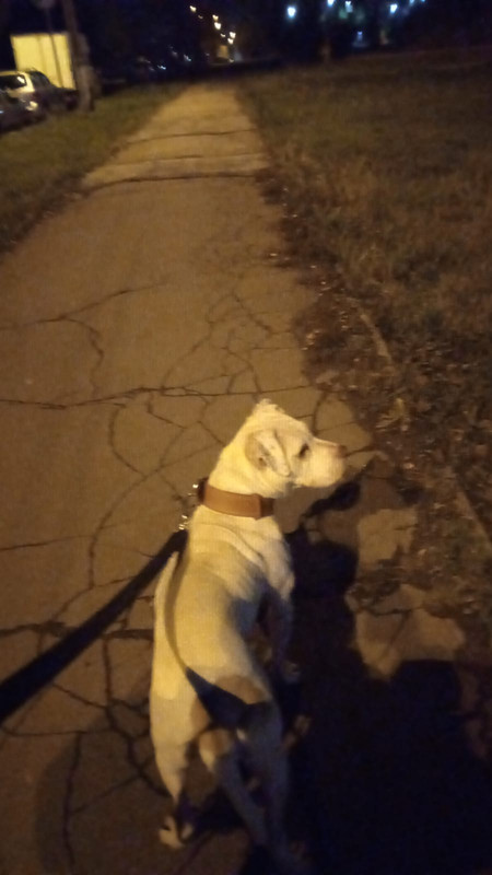 18D63CB1-4264-4BB0-B1CA-6222D862465A