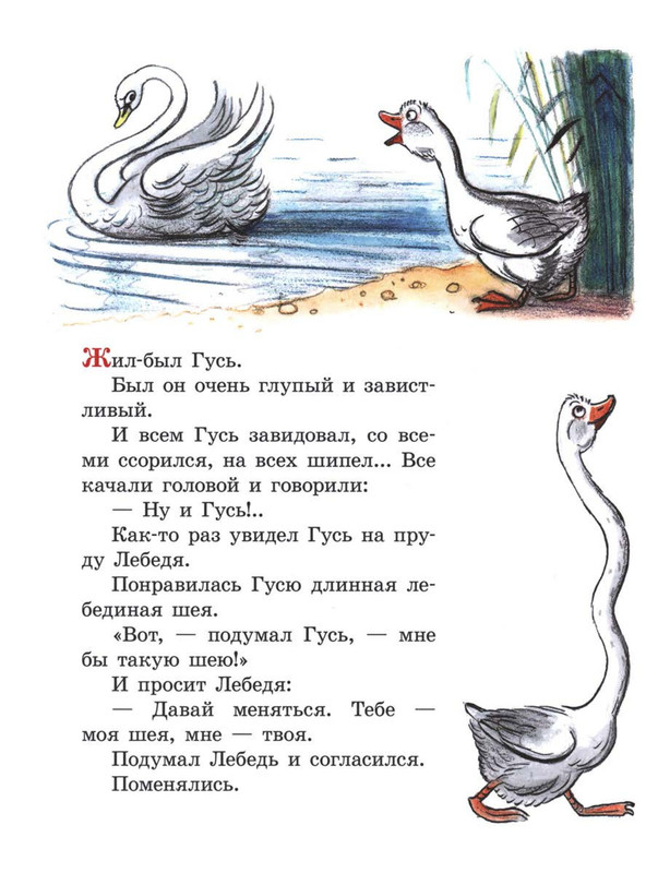 Sutejev-Vladimir-Petuh-i-Kraski-24