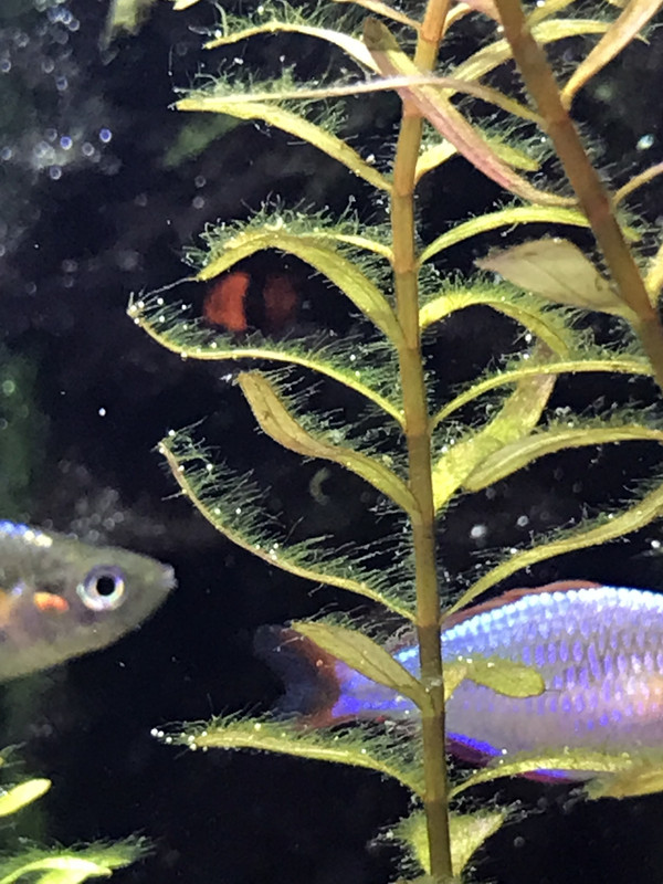 66178FE7-0D60-4C4E-82A4-80399BCEB9DB