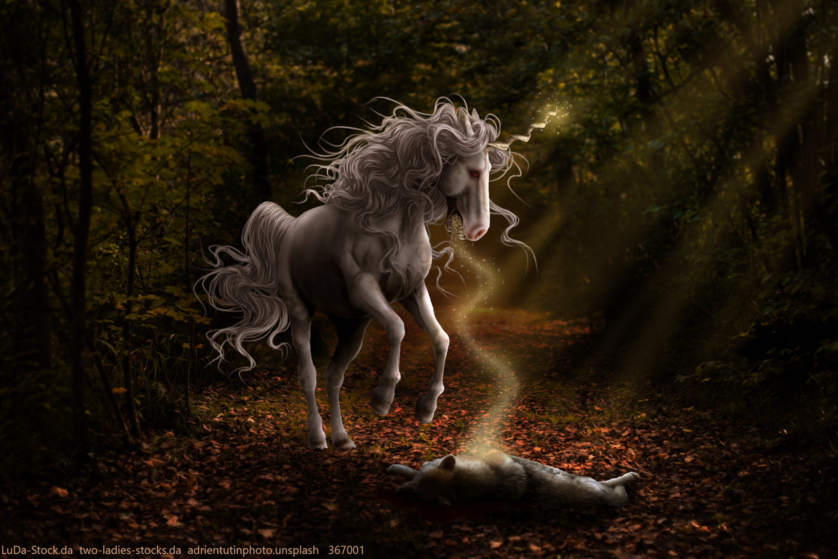 Full Unknown — Postimages