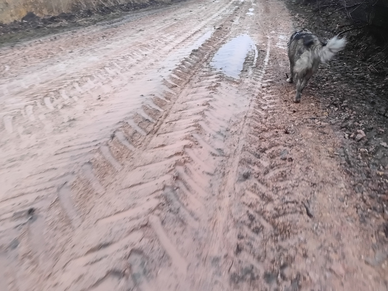 IMG 20251207 152948 309