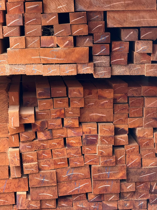 Paraju e Maçaranduba Serrado