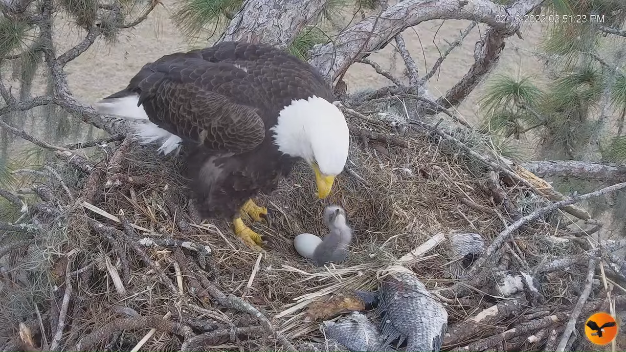 EC 4K Overhead Cam 10-40-20 screenshot