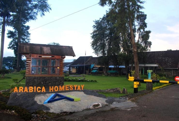 Hotel Arabica