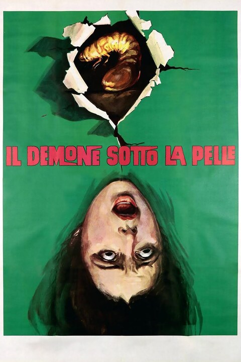 [Immagine: poster.jpg]