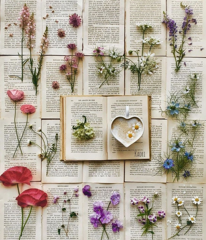 Screenshot_20240112_233208_Instagram