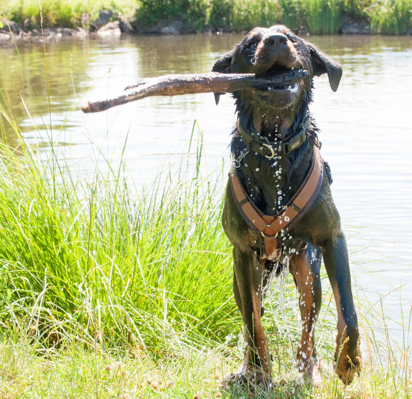 BAD1B811-50D6-4C6D-841B-967A4C7168E4