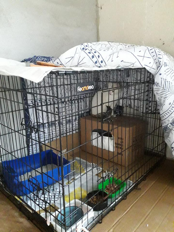 IMG-2a417c0b5cf6b15c13528a8f756cb506-V