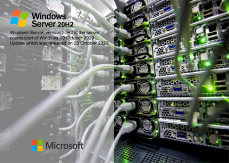 Windows Server, version 20H2 Build 19042.1348 Windows Server, version 20H2 Build 19042.1348