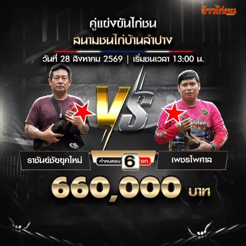 ราชันย์ชัยยุคใหม่ พบ เพชรไพศาล สนามชนไก่บ้านใหม่ลำปาง วันที่ 28 สิงหาคม 2569