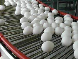 Экспорт яиц за январь-февраль 2019 г. вырос на 56%