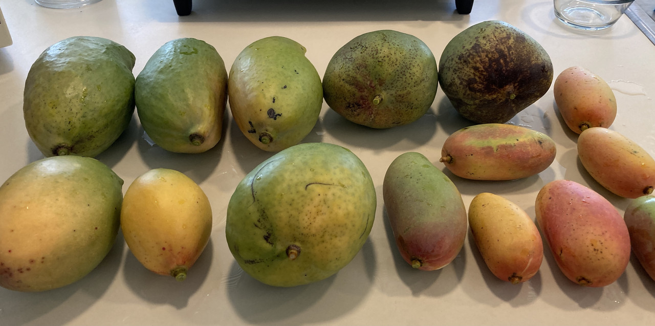 41535626-BDC4-4FEF-8FB4-A6EE9721632D