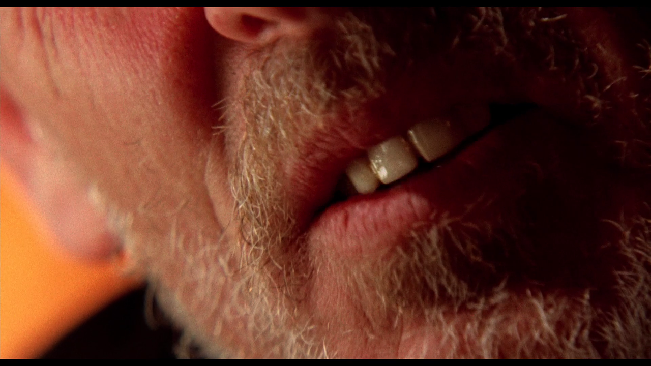 vlcsnap-2023-10-10-22h32m42s338