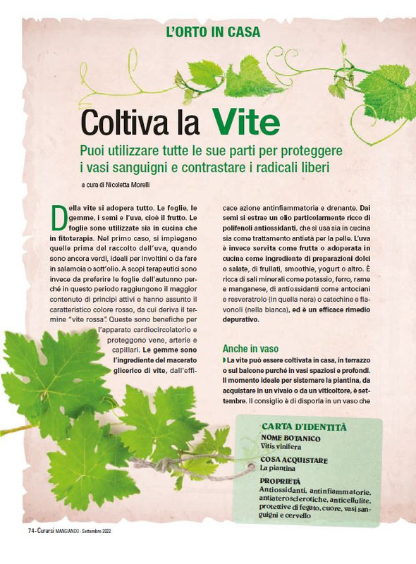 Cur Mang Set 2022 (1)