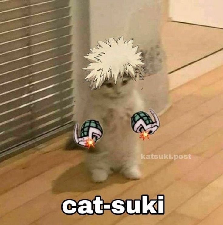 Cat-suki