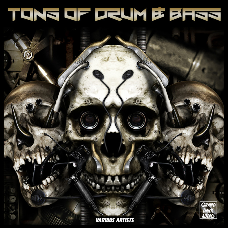 VA - Tons of Drum & Bass (2019) .mp3 -320 Kbps