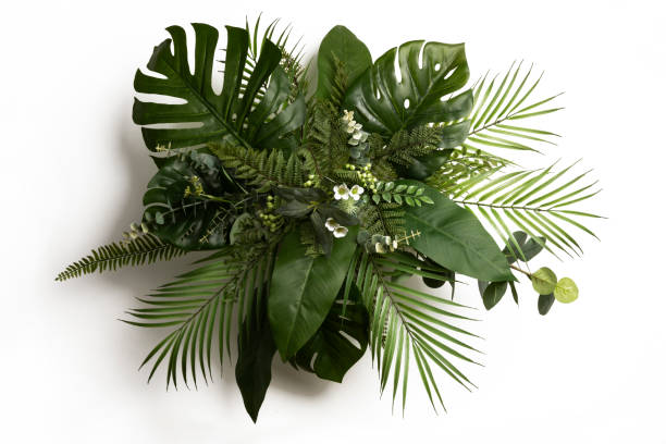 wholesale greenery