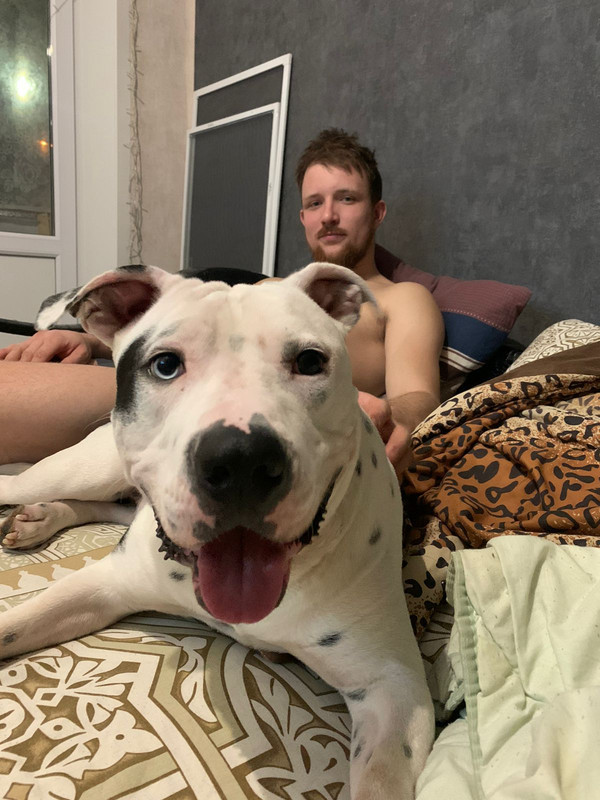 78AC1651-1145-45CD-A975-F48B88095024