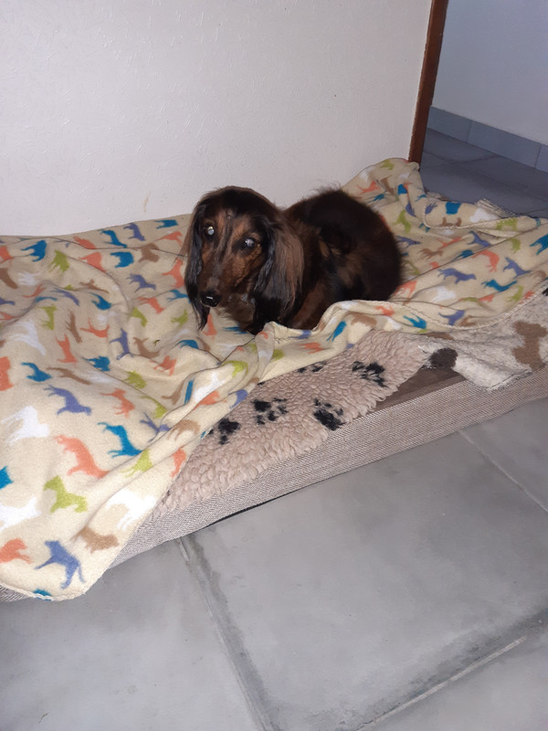 [Image: 20200715-085207.jpg]