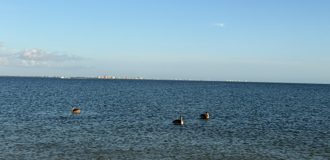 [Image: Sanibel-Bridge6.png]