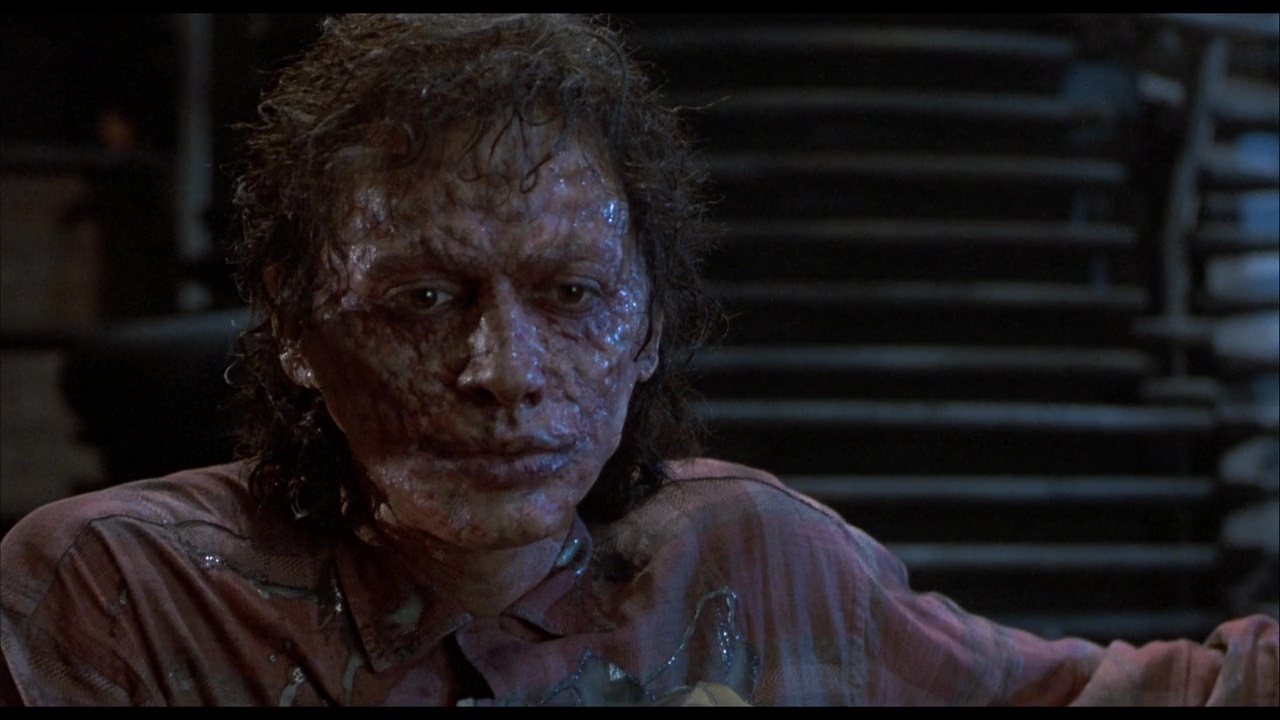 vlcsnap 2026 03 19 12h28m51s596