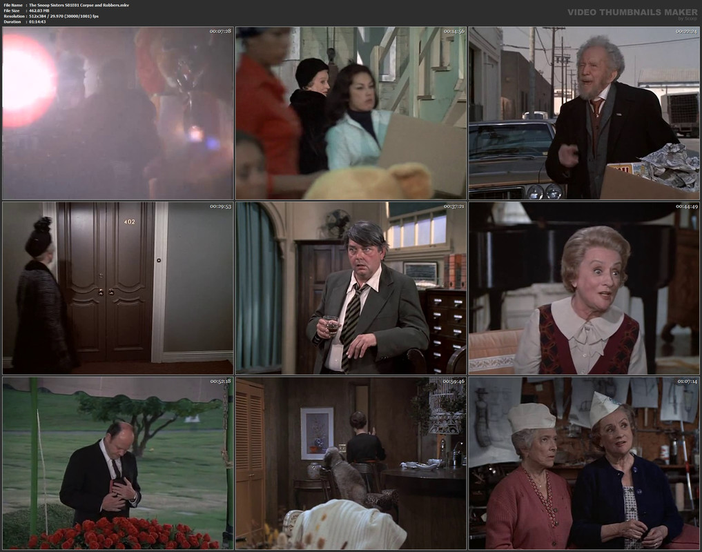 The Snoop Sisters S01E01 Corpse and Robbers.mkv