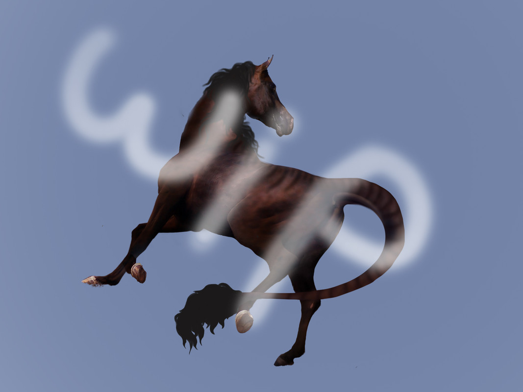 Contest-Entry-WIP.jpg