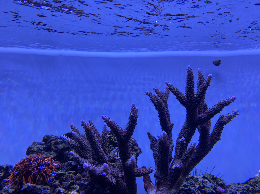 905A4AA4-0065-4F7E-9CD7-F214EFD227E6