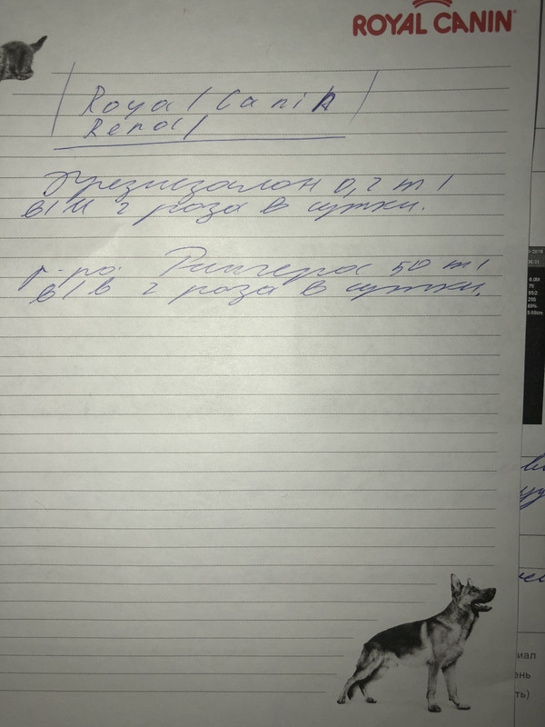 C6DB6944-B177-42FE-820B-16EDB6C7C3A6