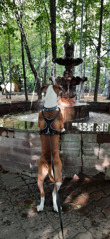 7E9C9ACC-297C-4071-8CA4-9D45715247DA