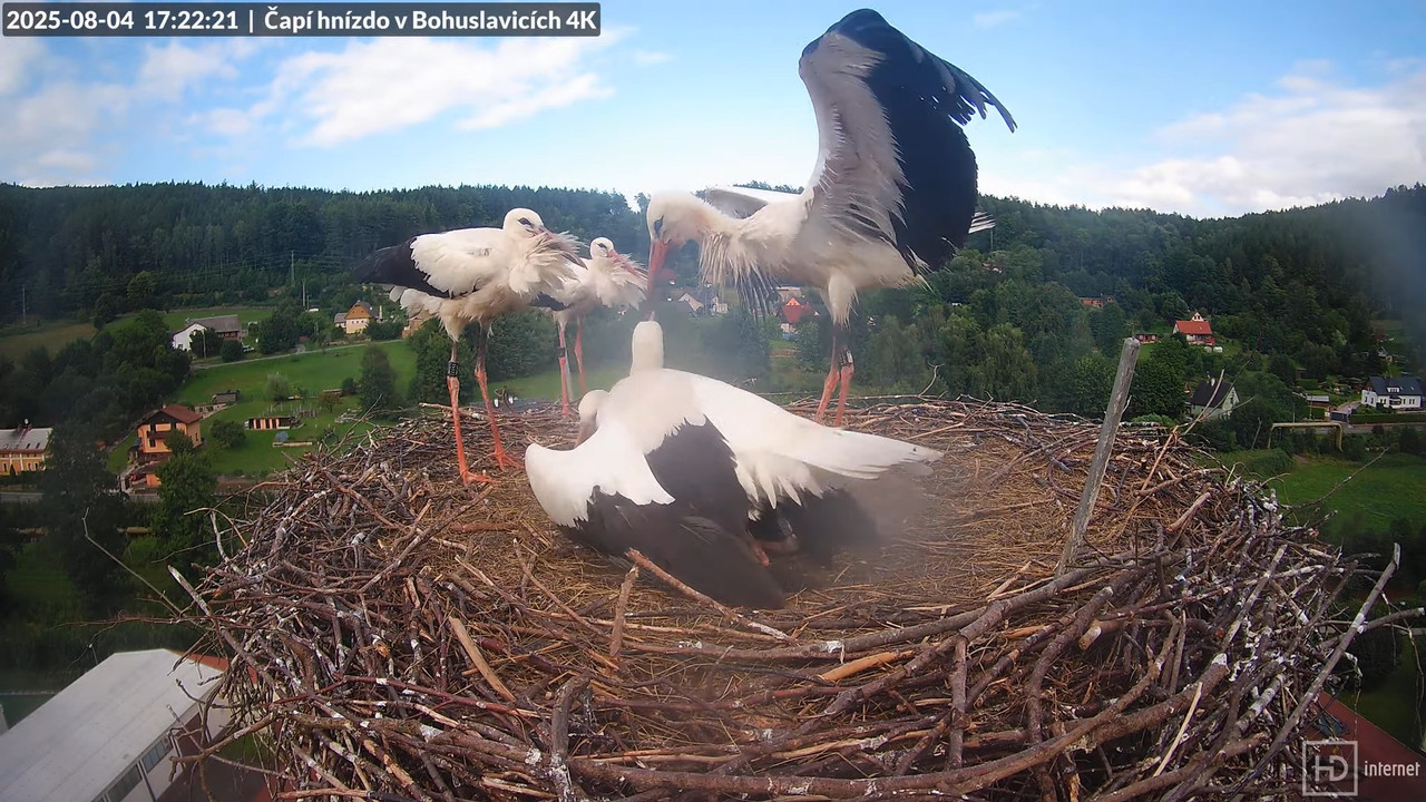 Tiešraide no KARA uzņēmuma stārķu skursteņa Bohuslavicē netālu no Trutnovas 16-35-8 screenshot