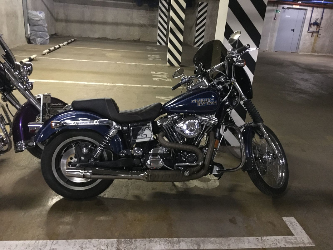 WhatsApp Image 2025-08-18 at 19.17.25 (1)