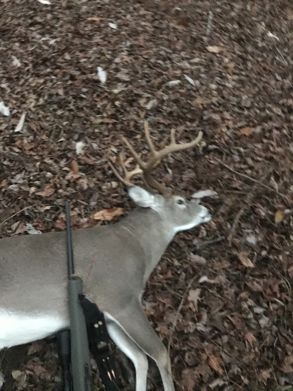 C4EBBBE3-8966-478D-8587-CE21DD6D1C70