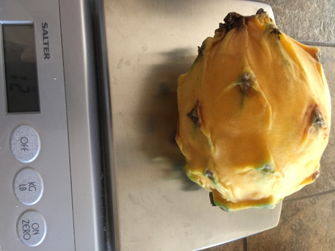 1FCEDAB7-0E37-4FAF-8E64-429B528AB181