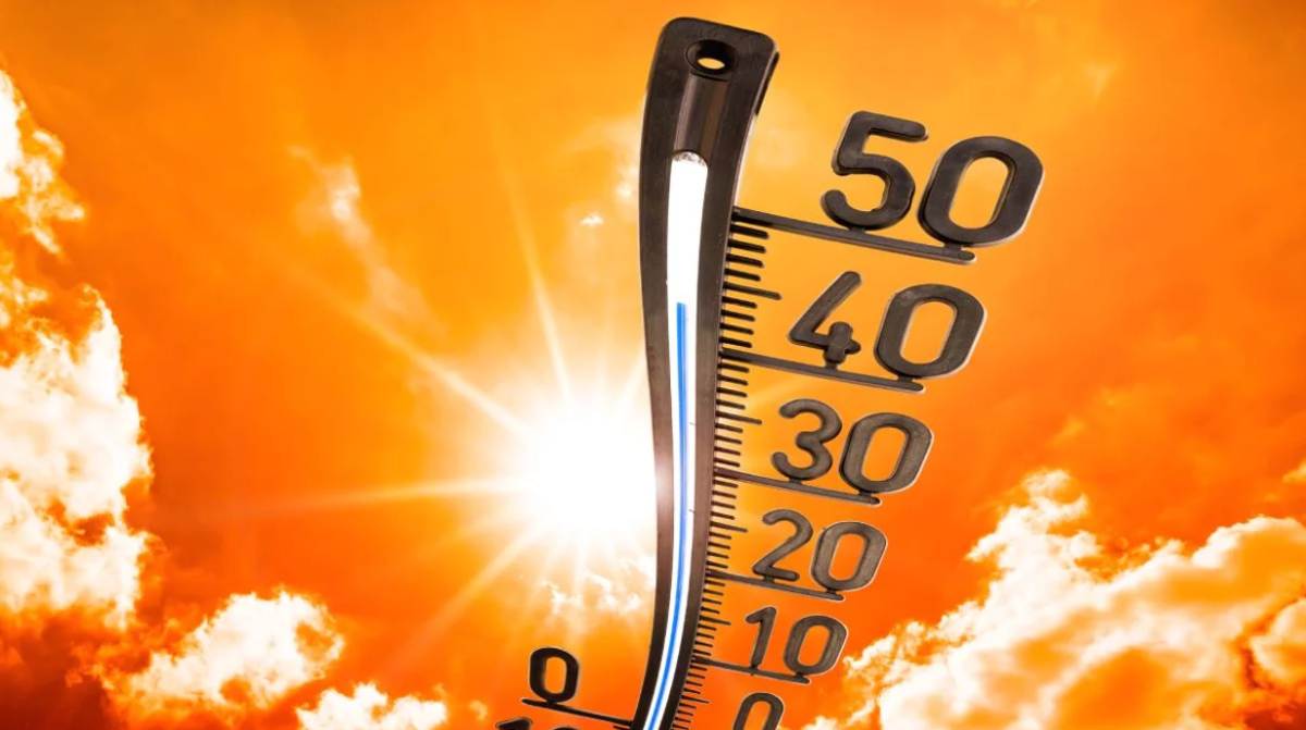 Ondata di calore in Europa: Nel 2022 è stata una strage