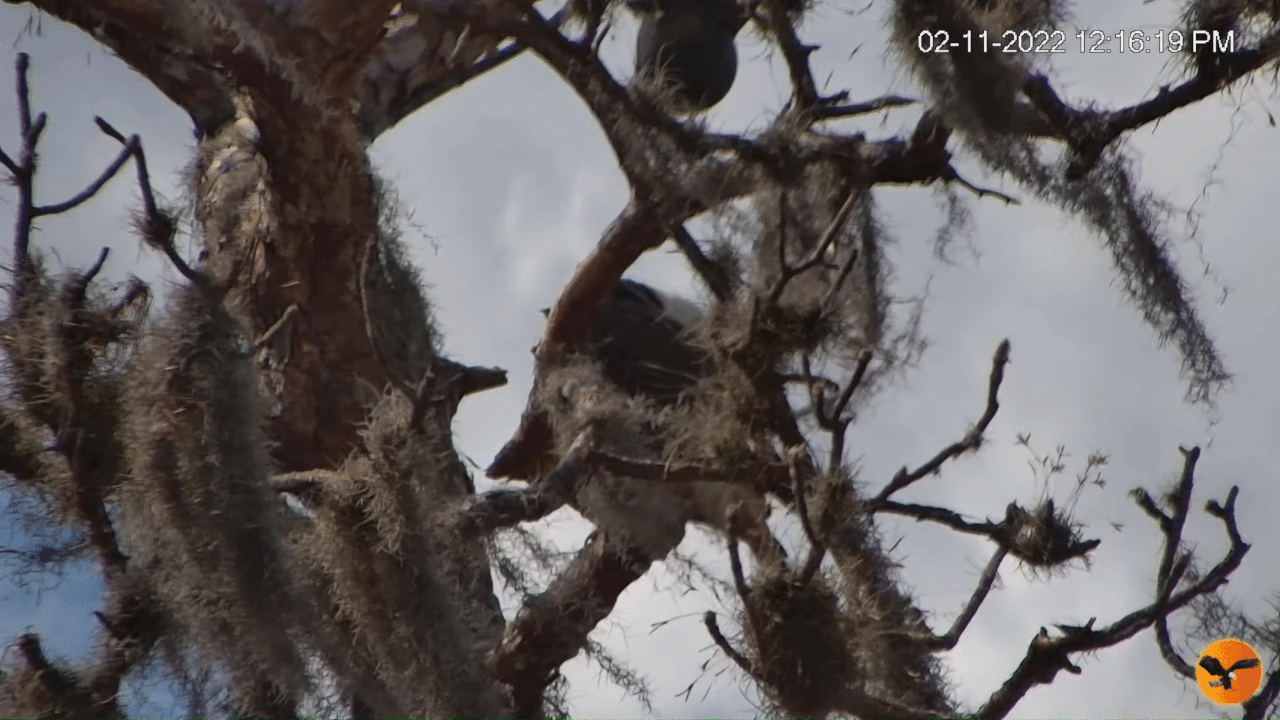 Webp.net-gifmaker (7)