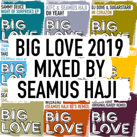 VA - Big Love 2019 Mixed By Seamus Haji (2019)