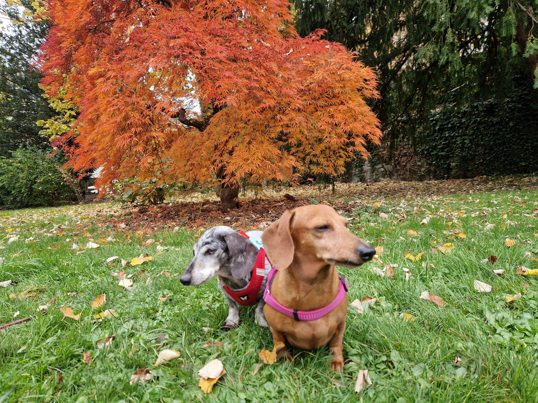 [Image: 20241108-123135.jpg]