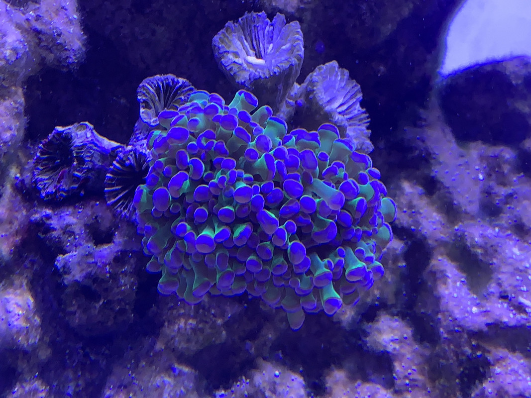 9C0737E1-D8DF-4BDB-89B1-4BE1C0C4C48F