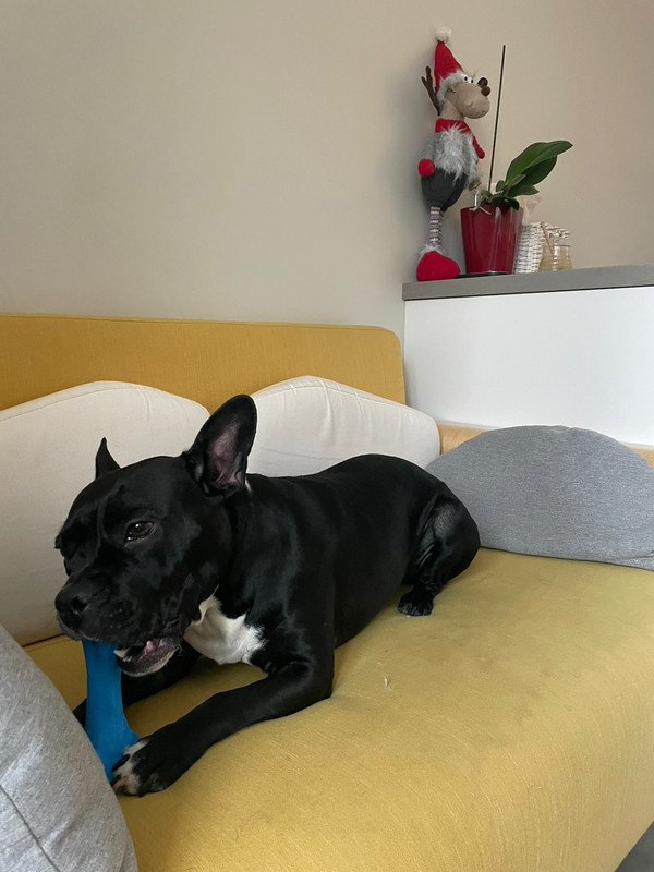 4556247F-04CE-4644-B4B6-CA6BE1E454EE